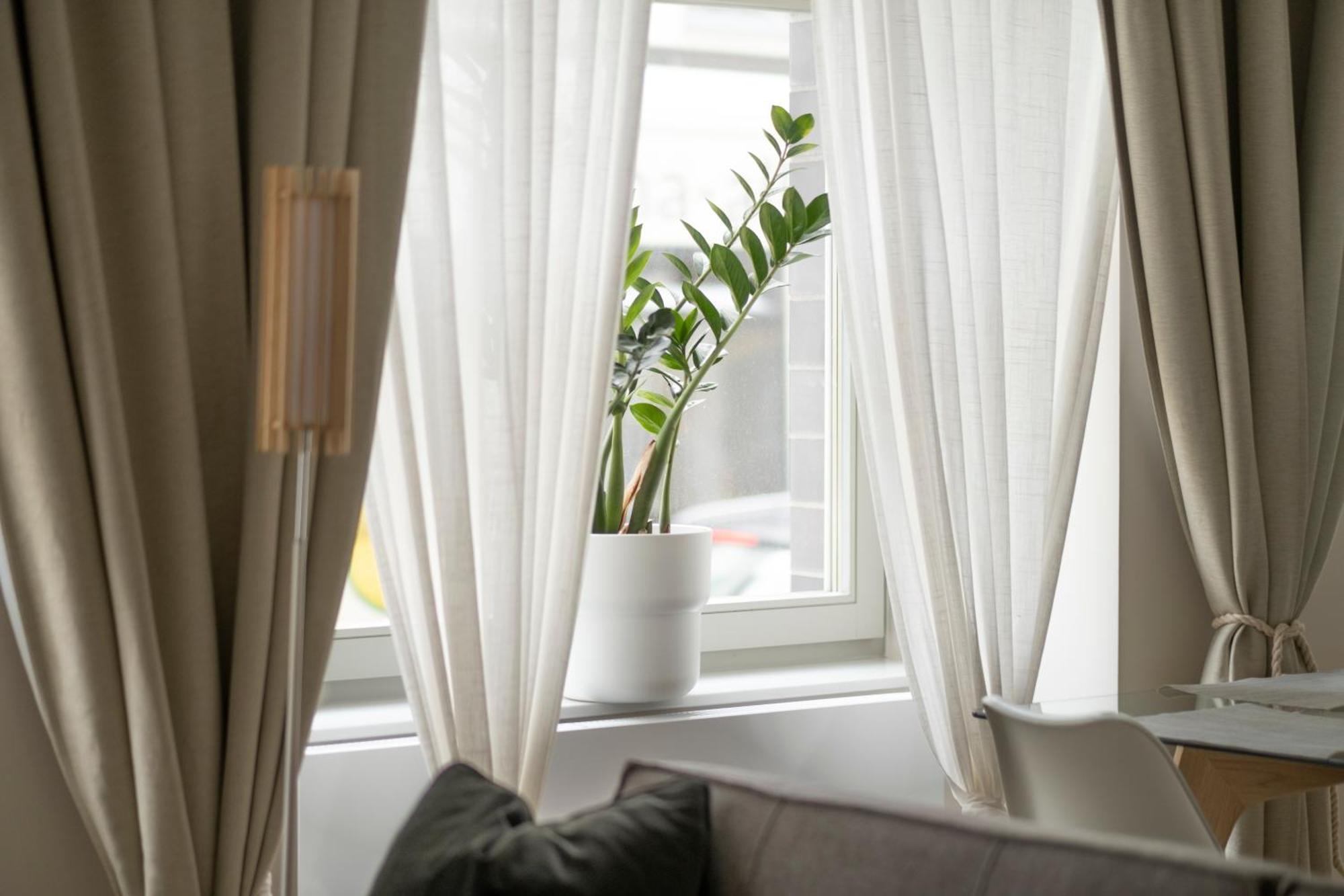 Apartments Zur Alten Konditorei 슈베린 객실 사진